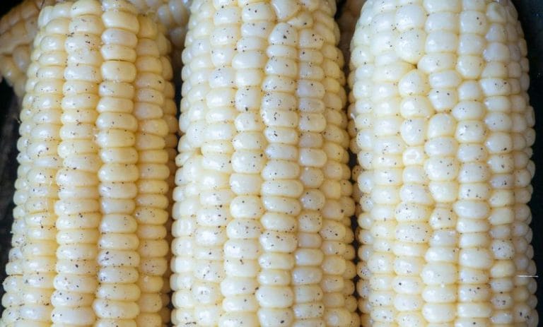 Crockpot Corn on the Cob